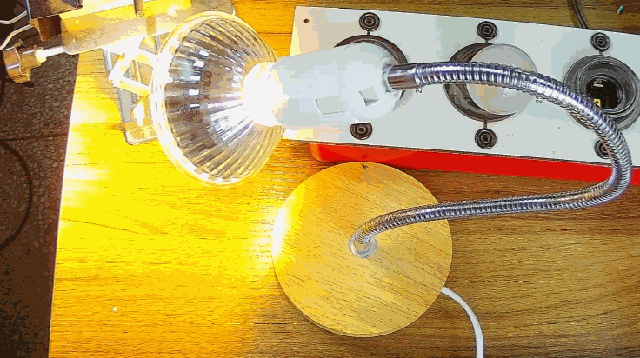 電燈泡內通有交流電，為什么看不到燈泡在閃爍？